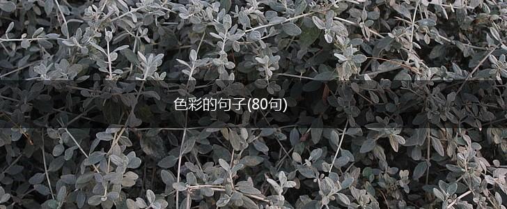 色彩的句子(80句),第1张