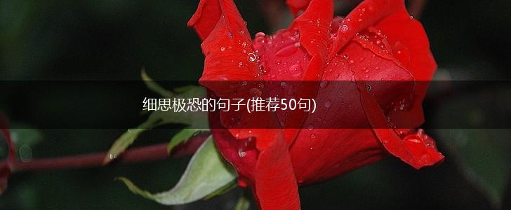 细思极恐的句子(推荐50句),第1张