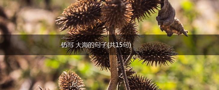 仿写 大海的句子(共15句),第1张