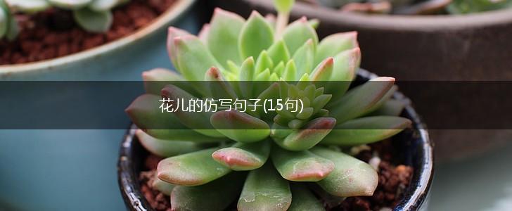 花儿的仿写句子(15句),第1张