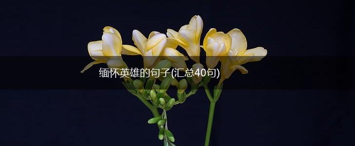 缅怀英雄的句子(汇总40句),第1张