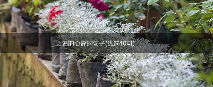 莫名的心痛的句子(优选40句),第1张