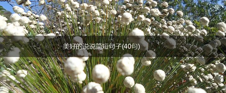 美好的说说简短句子(40句),第1张