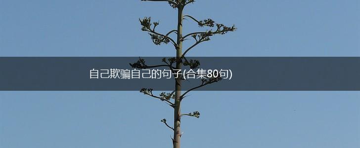 自己欺骗自己的句子(合集80句),第1张