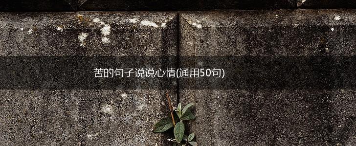 苦的句子说说心情(通用50句),第1张