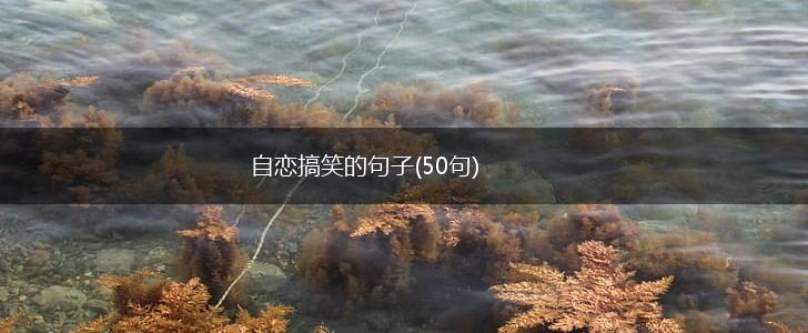 自恋搞笑的句子(50句),第1张