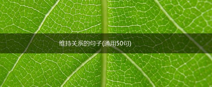 维持关系的句子(通用50句),第1张