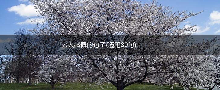 老人感慨的句子(通用80句),第1张