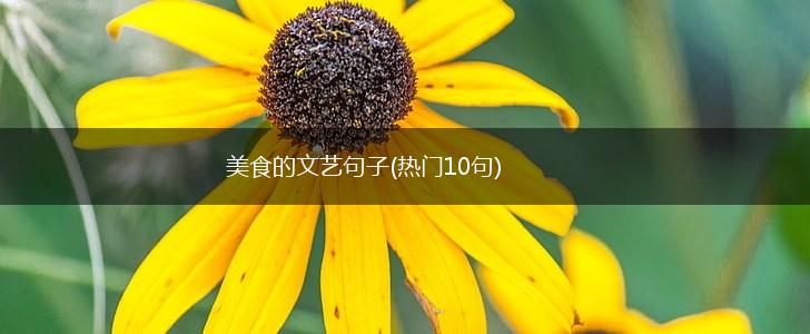 美食的文艺句子(热门10句),第1张