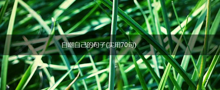 自嘲自己的句子(实用70句),第1张