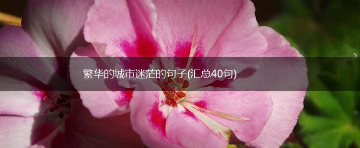 繁华的城市迷茫的句子(汇总40句),第1张