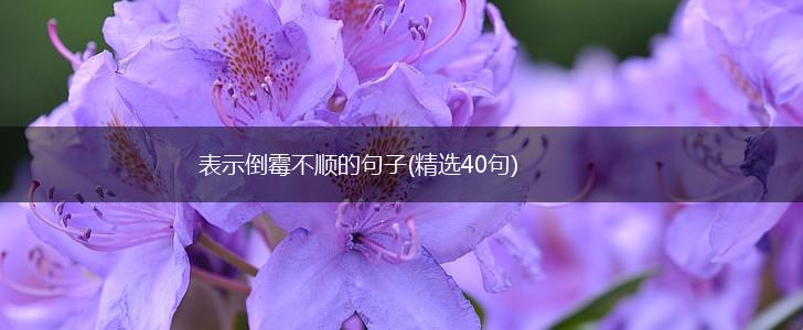 表示倒霉不顺的句子(精选40句),第1张