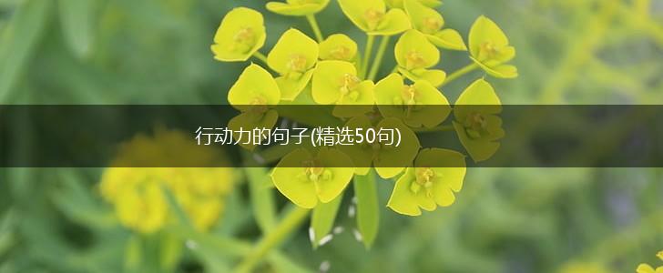 行动力的句子(精选50句),第1张