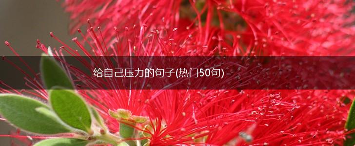 给自己压力的句子(热门50句),第1张