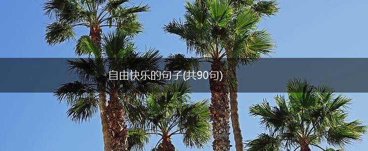 自由快乐的句子(共90句),第1张