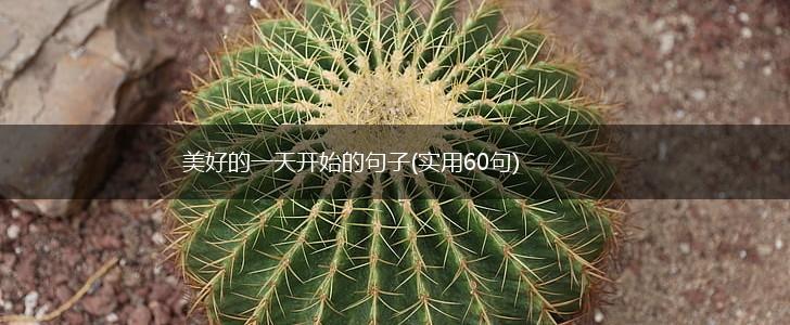 美好的一天开始的句子(实用60句),第1张
