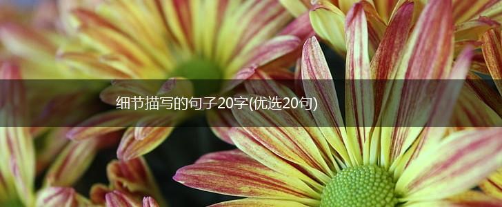 细节描写的句子20字(优选20句),第1张