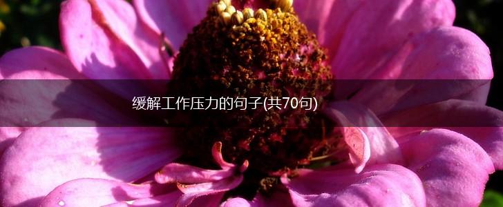 缓解工作压力的句子(共70句),第1张