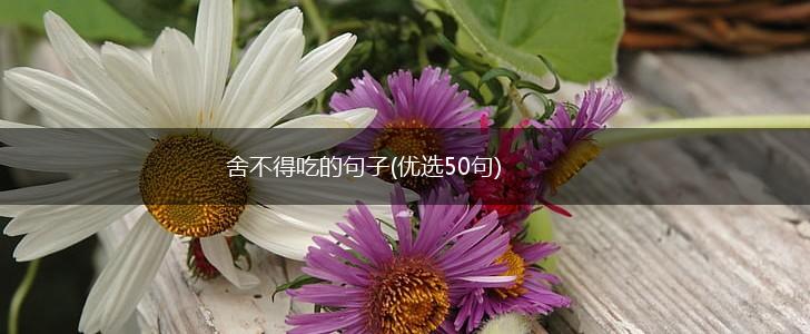 舍不得吃的句子(优选50句),第1张