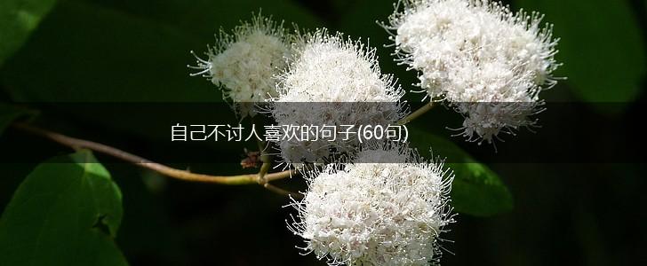 自己不讨人喜欢的句子(60句),第1张