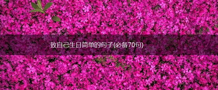 致自己生日简单的句子(必备70句),第1张