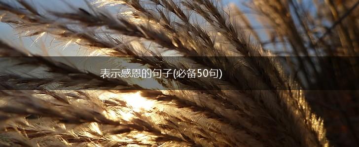 表示感恩的句子(必备50句),第1张