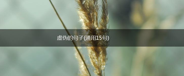 虚伪的句子(通用15句),第1张