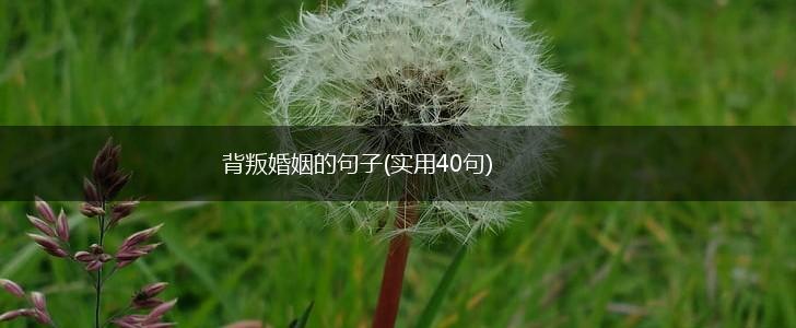 背叛婚姻的句子(实用40句),第1张