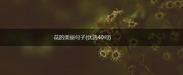 花的美丽句子(优选40句),第1张