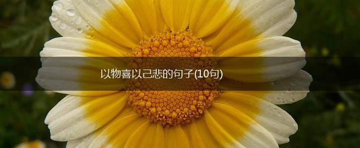 以物喜以己悲的句子(10句),第1张