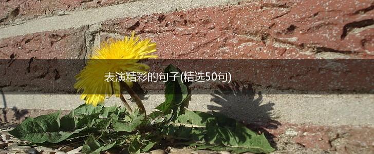 表演精彩的句子(精选50句),第1张