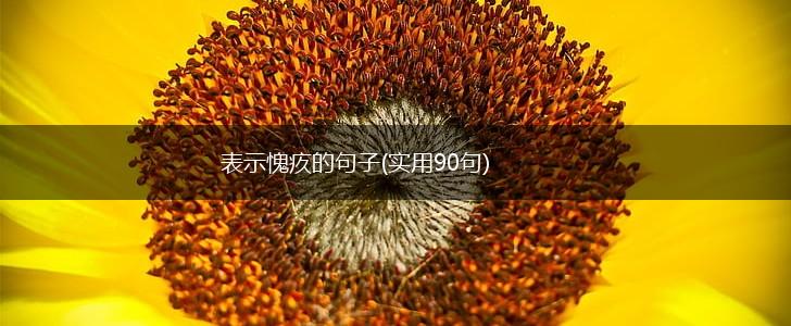 表示愧疚的句子(实用90句),第1张