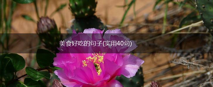 美食好吃的句子(实用40句),第1张