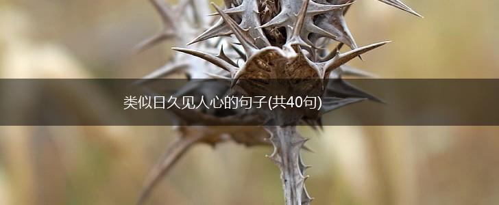 类似日久见人心的句子(共40句),第1张