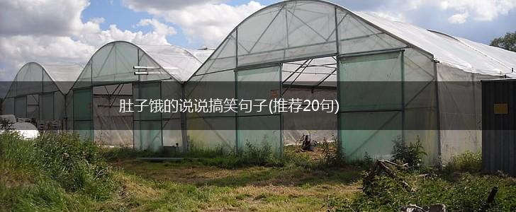 肚子饿的说说搞笑句子(推荐20句),第1张