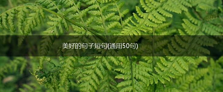 美好的句子短句(通用50句),第1张