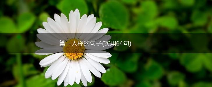 第一人称的句子(实用64句),第1张