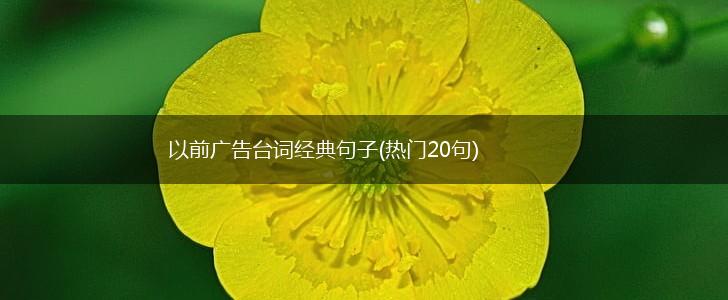 以前广告台词经典句子(热门20句),第1张