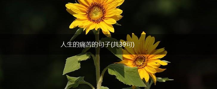 人生的痛苦的句子(共39句),第1张
