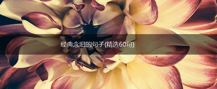 经典念旧的句子(精选60句),第1张