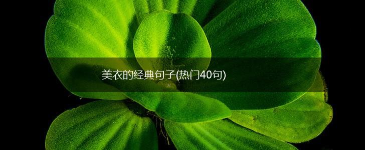 美衣的经典句子(热门40句),第1张