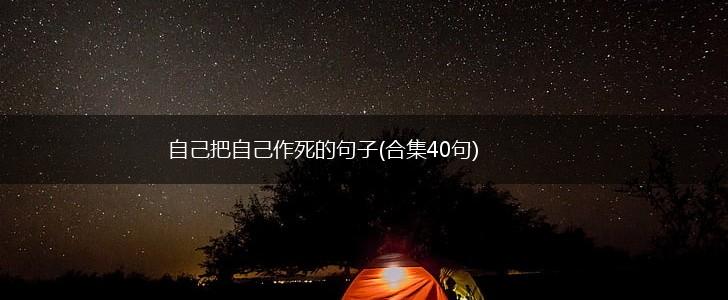 自己把自己作死的句子(合集40句),第1张