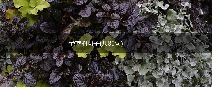 绝望的句子(共80句),第1张