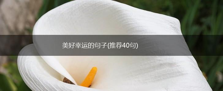 美好幸运的句子(推荐40句),第1张