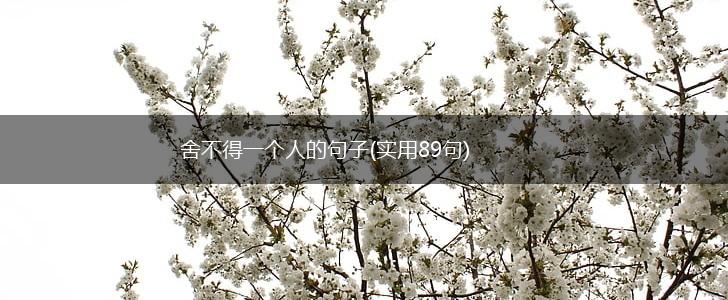 舍不得一个人的句子(实用89句),第1张