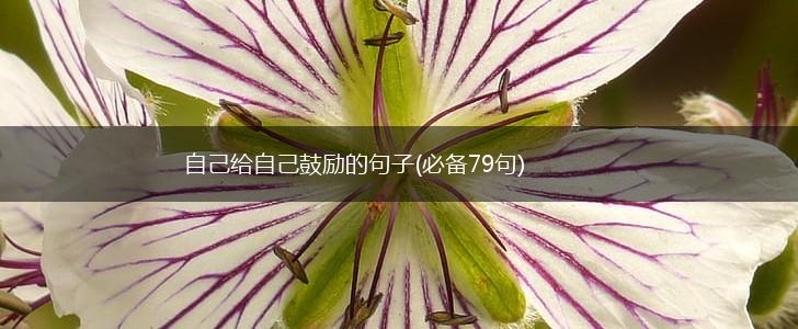 自己给自己鼓励的句子(必备79句),第1张