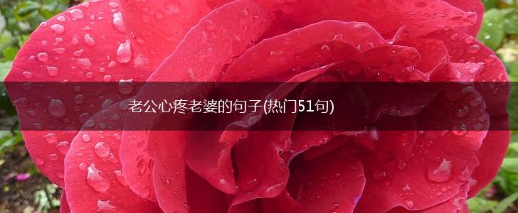 老公心疼老婆的句子(热门51句),第1张