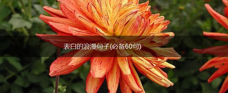 表白的浪漫句子(必备60句),第1张