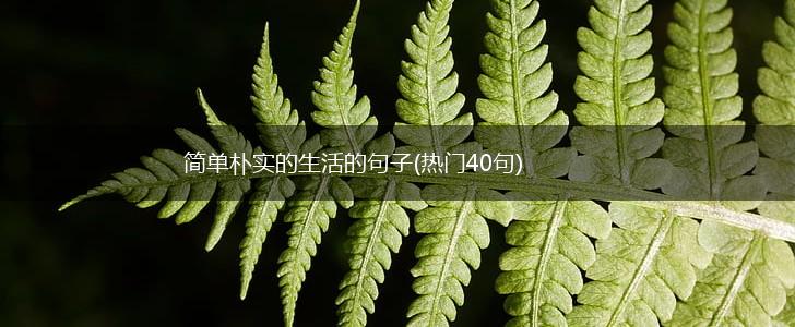 简单朴实的生活的句子(热门40句),第1张