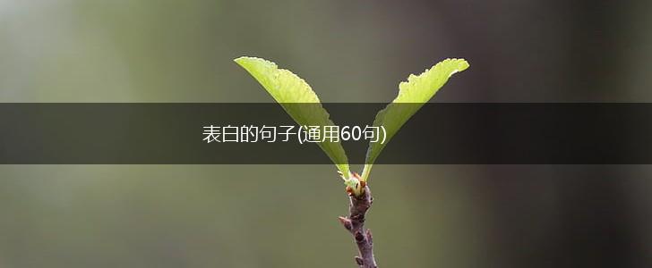 表白的句子(通用60句),第1张